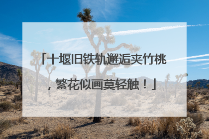 十堰旧铁轨邂逅夹竹桃，繁花似画莫轻触！