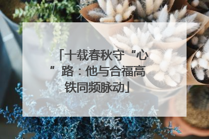 十载春秋守“心”路：他与合福高铁同频脉动