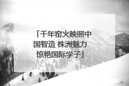 千年窑火映照中国智造 株洲魅力惊艳国际学子
