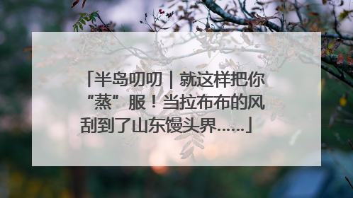半岛叨叨｜就这样把你“蒸”服！当拉布布的风刮到了山东馒头界……