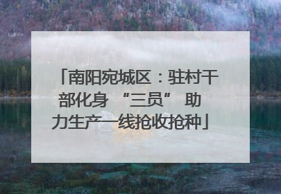 南阳宛城区：驻村干部化身 “三员” 助力生产一线抢收抢种