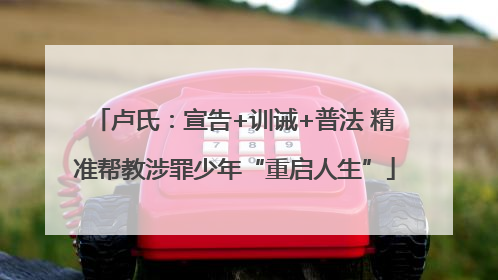 卢氏：宣告+训诫+普法 精准帮教涉罪少年“重启人生”