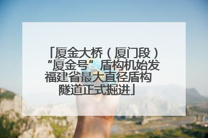 厦金大桥（厦门段）“厦金号”盾构机始发 福建省最大直径盾构隧道正式掘进