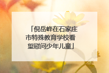 倪岳峰在石家庄市特殊教育学校看望慰问少年儿童