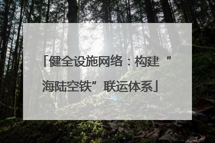 健全设施网络：构建“海陆空铁”联运体系