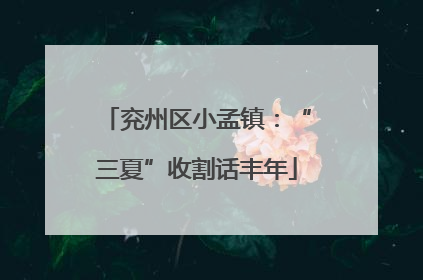 兖州区小孟镇：“三夏”收割话丰年