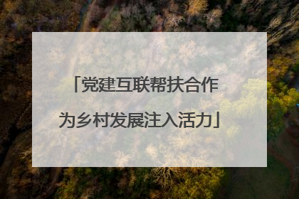 党建互联帮扶合作 为乡村发展注入活力