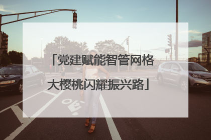 党建赋能智管网格 大樱桃闪耀振兴路