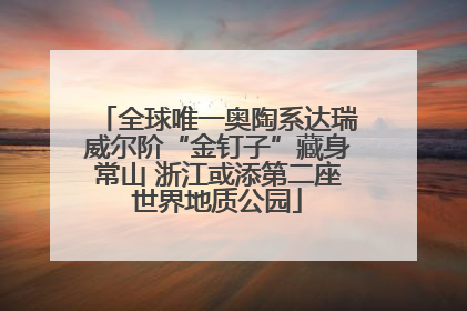 全球唯一奥陶系达瑞威尔阶“金钉子”藏身常山 浙江或添第二座世界地质公园