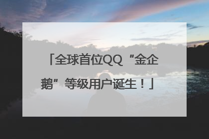全球首位QQ“金企鹅”等级用户诞生！