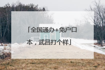 全国通办+免户口本，武昌打个样