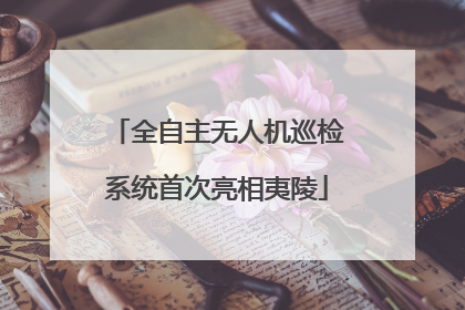 全自主无人机巡检系统首次亮相夷陵
