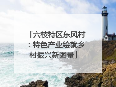 六枝特区东风村：特色产业绘就乡村振兴新图景