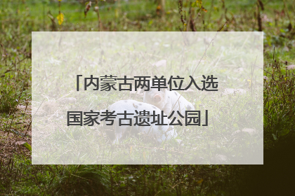 内蒙古两单位入选国家考古遗址公园