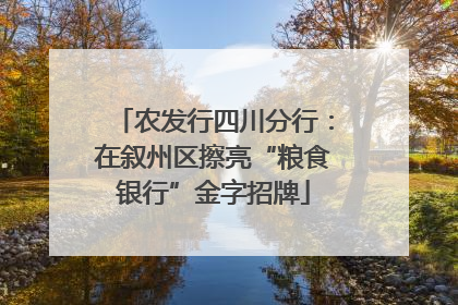农发行四川分行：在叙州区擦亮“粮食银行”金字招牌
