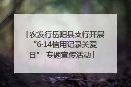 农发行岳阳县支行开展“6·14信用记录关爱日” 专题宣传活动