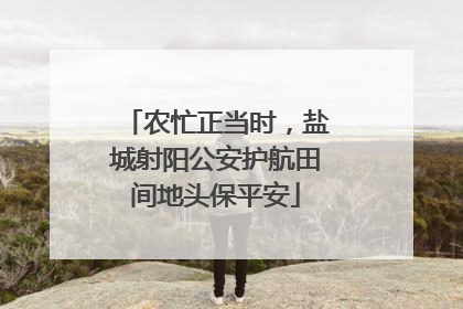 农忙正当时，盐城射阳公安护航田间地头保平安