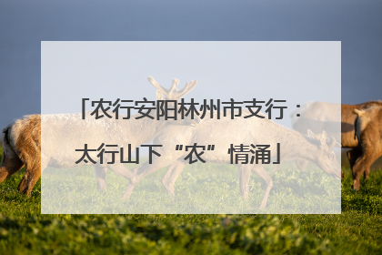 农行安阳林州市支行：太行山下“农”情涌