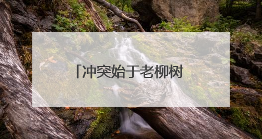冲突始于老柳树 矛盾化于柳荫下