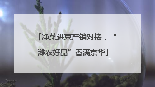 净菜进京产销对接，“潍农好品”香满京华