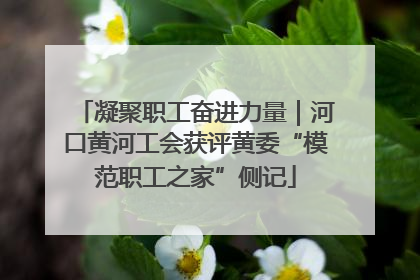 凝聚职工奋进力量｜河口黄河工会获评黄委“模范职工之家”侧记