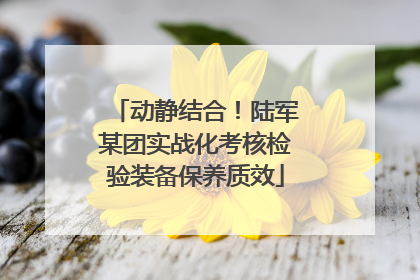 动静结合！陆军某团实战化考核检验装备保养质效