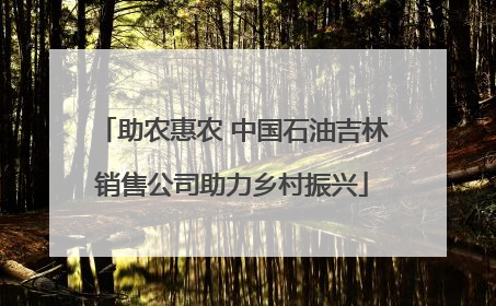 助农惠农 中国石油吉林销售公司助力乡村振兴