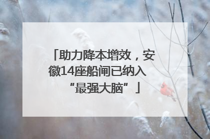 助力降本增效，安徽14座船闸已纳入“最强大脑”