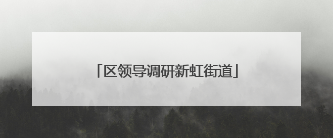 区领导调研新虹街道