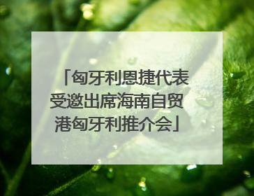 匈牙利恩捷代表受邀出席海南自贸港匈牙利推介会