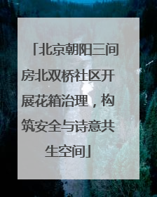 北京朝阳三间房北双桥社区开展花箱治理，构筑安全与诗意共生空间