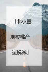 北京露地樱桃产量锐减