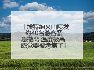 埃特纳火山喷发 约40名游客紧急撤离 温度极高感觉要被烤焦了