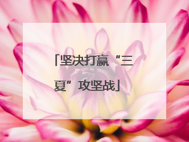 坚决打赢“三夏”攻坚战