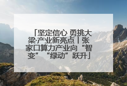 坚定信心 勇挑大梁·产业新亮点丨张家口算力产业向“智变”“绿动”跃升
