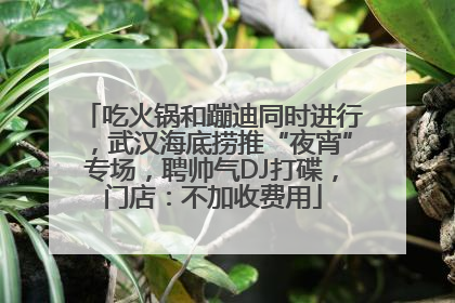 吃火锅和蹦迪同时进行，武汉海底捞推“夜宵”专场，聘帅气DJ打碟，门店：不加收费用