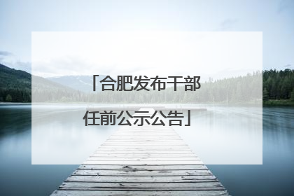合肥发布干部任前公示公告