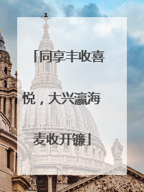 同享丰收喜悦，大兴瀛海麦收开镰