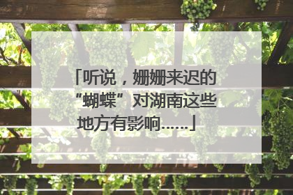 听说，姗姗来迟的“蝴蝶”对湖南这些地方有影响……