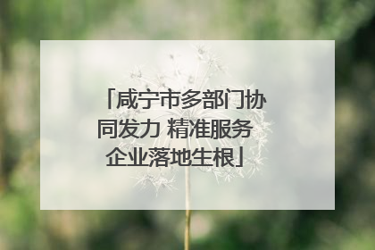 咸宁市多部门协同发力 精准服务企业落地生根