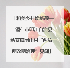 和美乡村焕新颜——铜仁市印江自治县新寨镇团山村“两清两改两治理”见闻