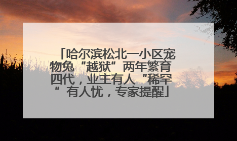 哈尔滨松北一小区宠物兔“越狱”两年繁育四代，业主有人“稀罕”有人忧，专家提醒