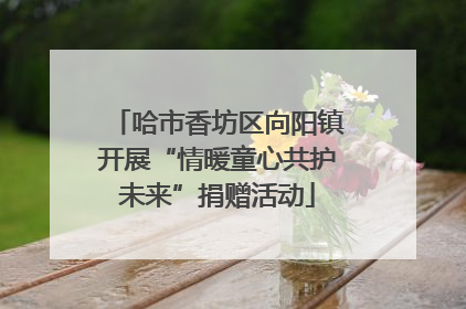 哈市香坊区向阳镇开展“情暖童心共护未来”捐赠活动