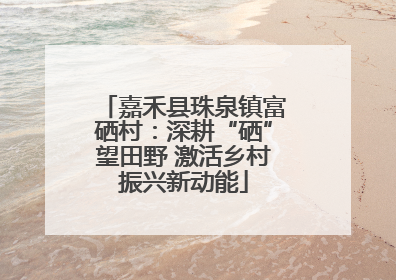 嘉禾县珠泉镇富硒村：深耕“硒”望田野 激活乡村振兴新动能