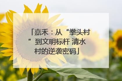 嘉禾：从“拳头村”到文明标杆 清水村的逆袭密码