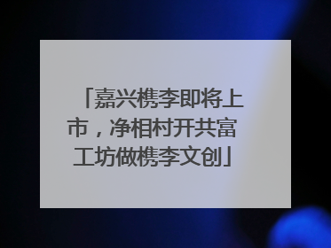 嘉兴槜李即将上市，净相村开共富工坊做槜李文创