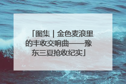 图集｜金色麦浪里的丰收交响曲——豫东三夏抢收纪实