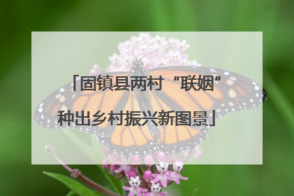 固镇县两村“联姻”种出乡村振兴新图景