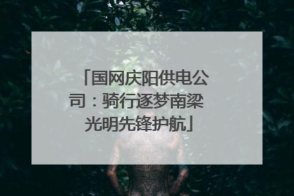 国网庆阳供电公司：骑行逐梦南梁 光明先锋护航