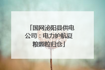 国网泌阳县供电公司：电力护航夏粮颗粒归仓